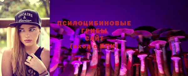 spice Баксан