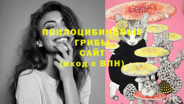 spice Баксан