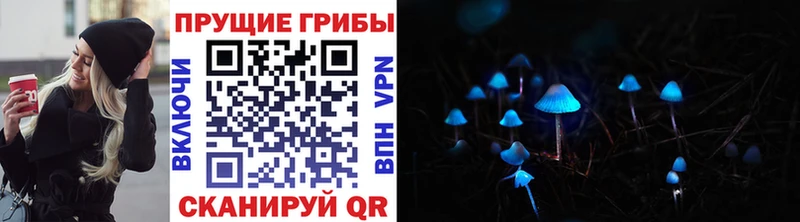 Купить закладки  Бердск  Галлюциногенные грибы мицелий 